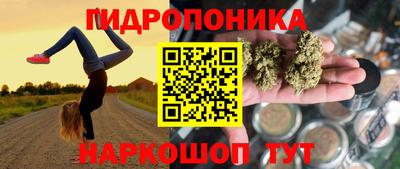 индика Анжеро-Судженск