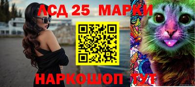 индика Анжеро-Судженск