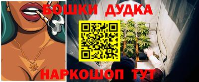 индика Анжеро-Судженск