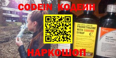 индика Анжеро-Судженск
